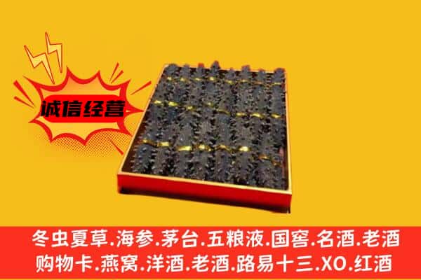 周口市商水回收海参